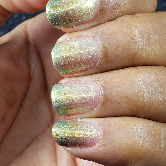 Full Anishinaabe Quad Collection