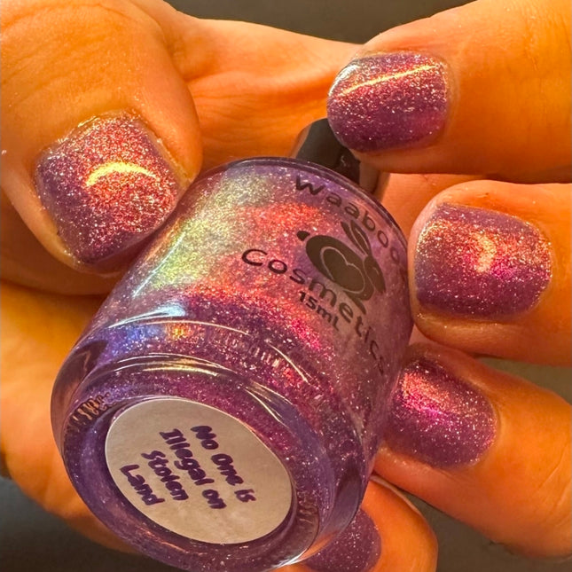 No One is Illegal on Stolen Land - Anishinaabe Quad